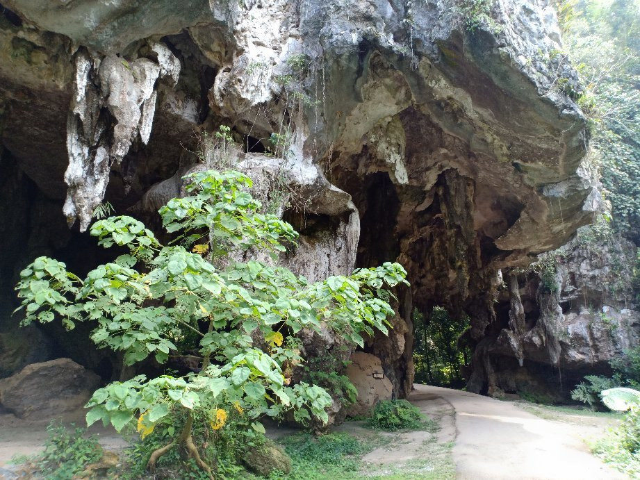 Kota Gelanggi Caves景点图片
