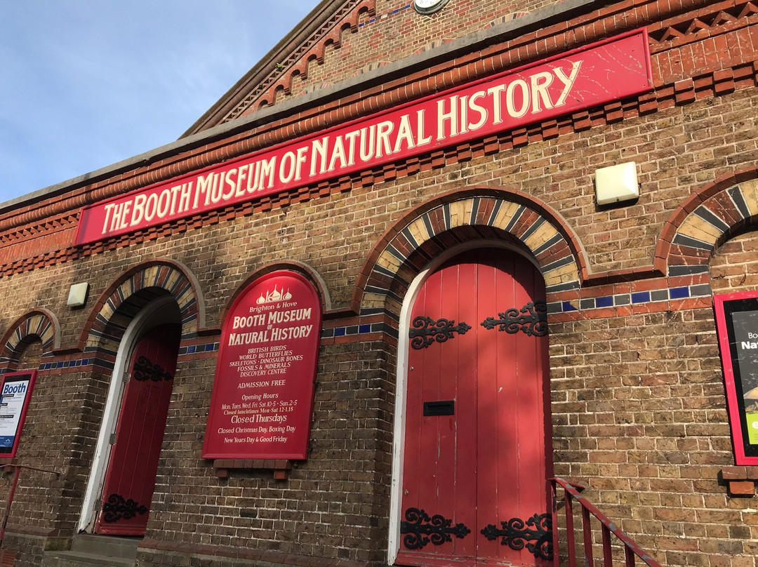 Booth Museum of Natural History景点图片