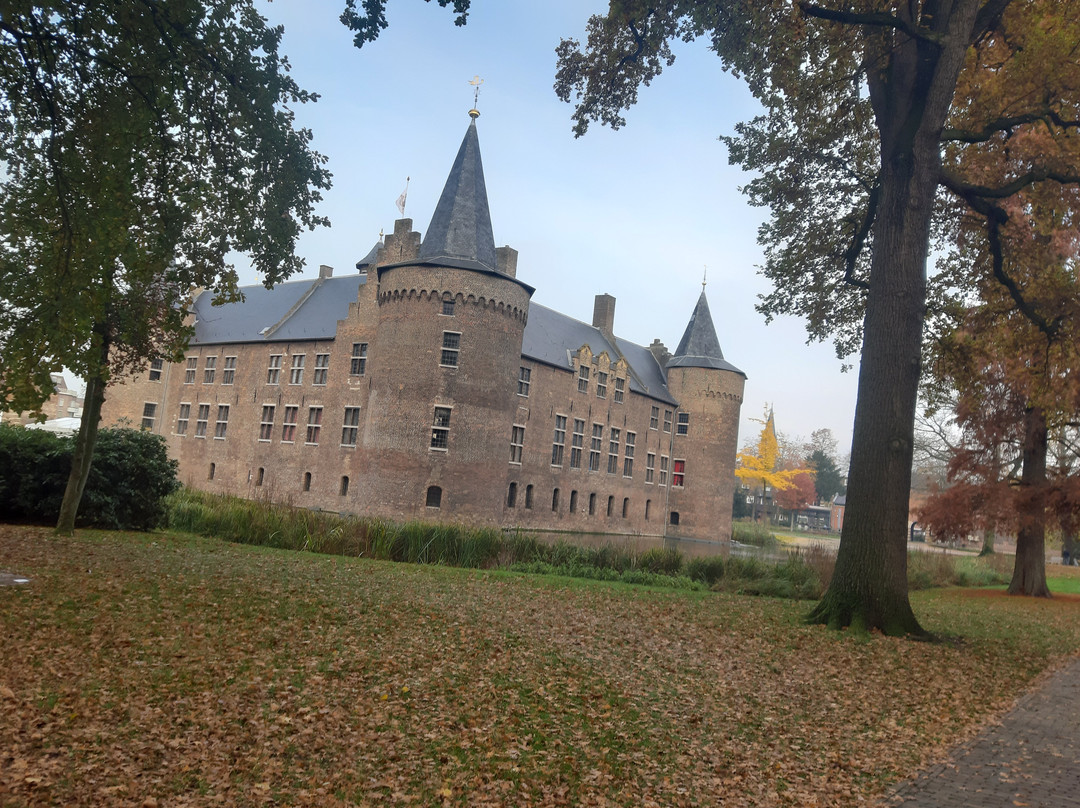 Castle Helmond景点图片