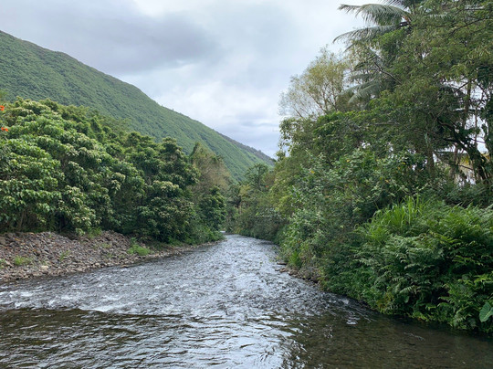 All About The View-夏威夷大岛必去景点