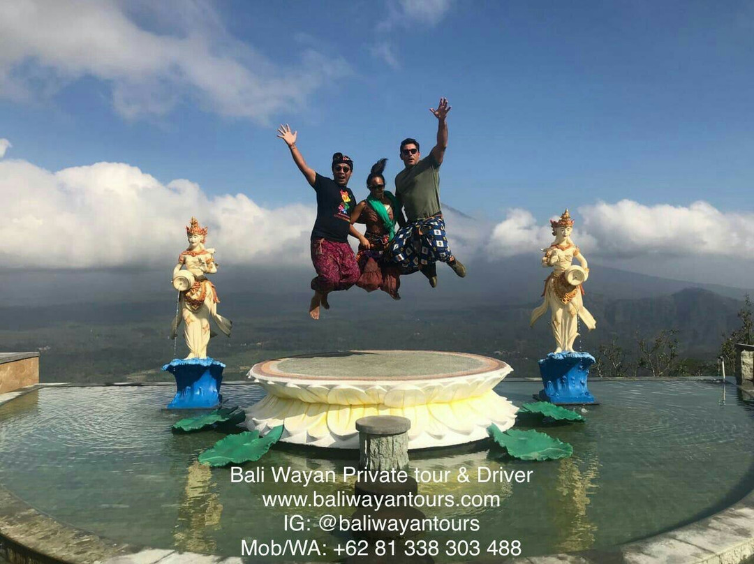 Bali Wayan Private Tour & Driver景点图片