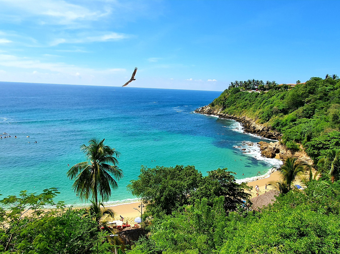 Playa Carrizalillo景点图片