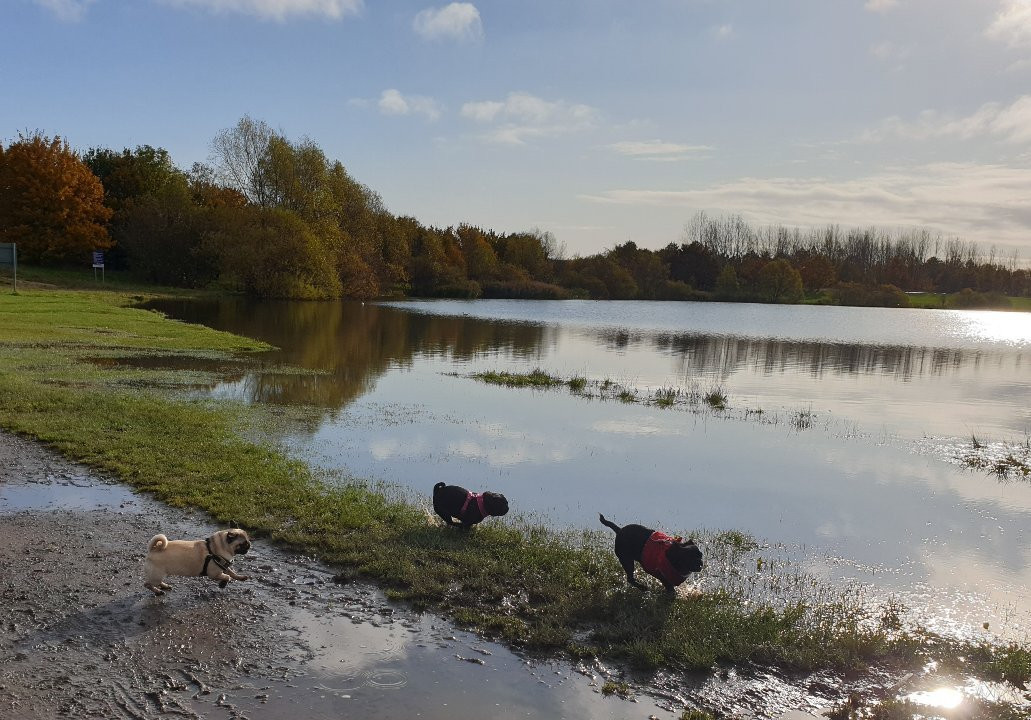 Pugneys Country Park景点图片