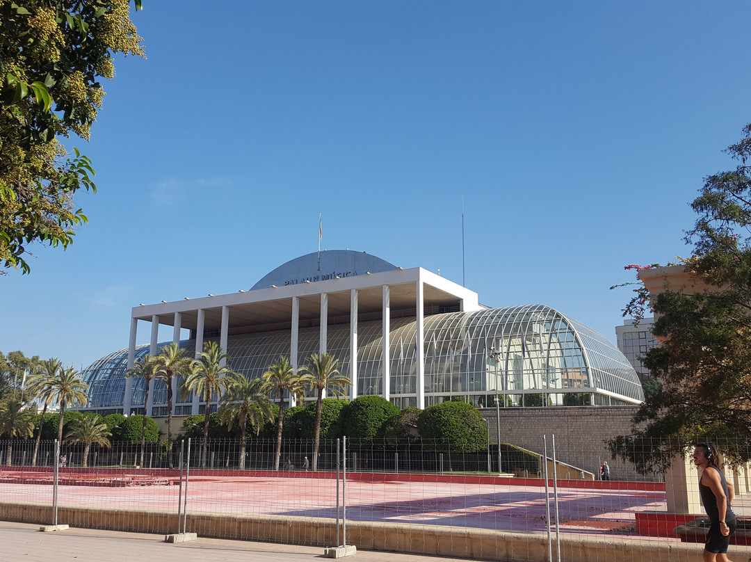 Palacio De La Música De Valencia景点图片