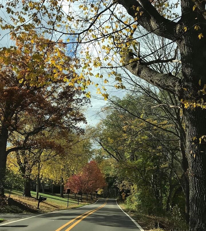 West Bloomfield Woods Nature Preserve And Nature Trail景点图片