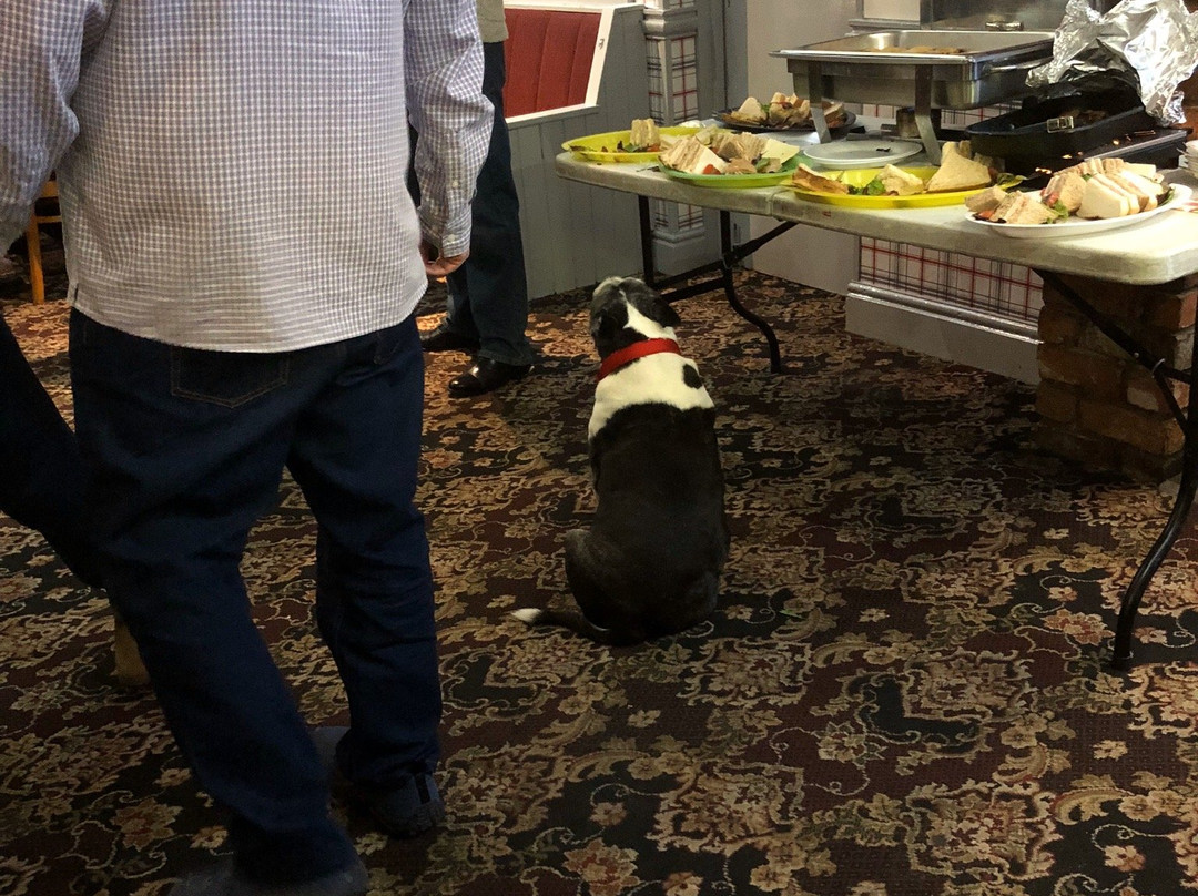 The Rising Sun Vaults-克鲁郡必去景点