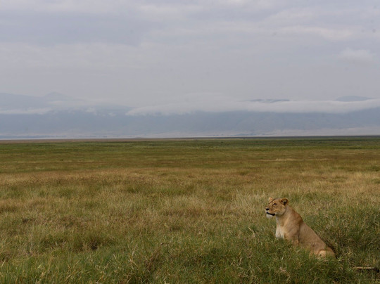 Peace Matunda Tours-阿鲁沙必去景点