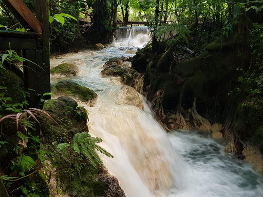 Eco Bromelias Lodge and Tours-瓜纳卡斯特自然保护区必去景点