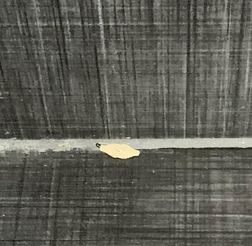 Kfar Maccabiah Hotel & Suites主图