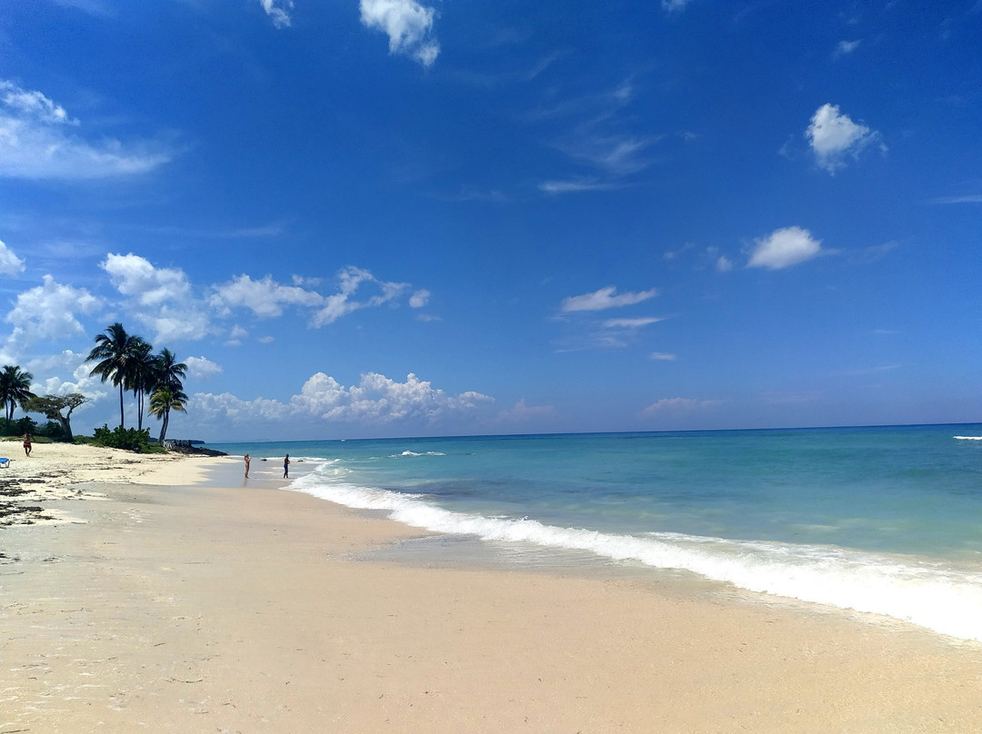 Hostal la Reina主图