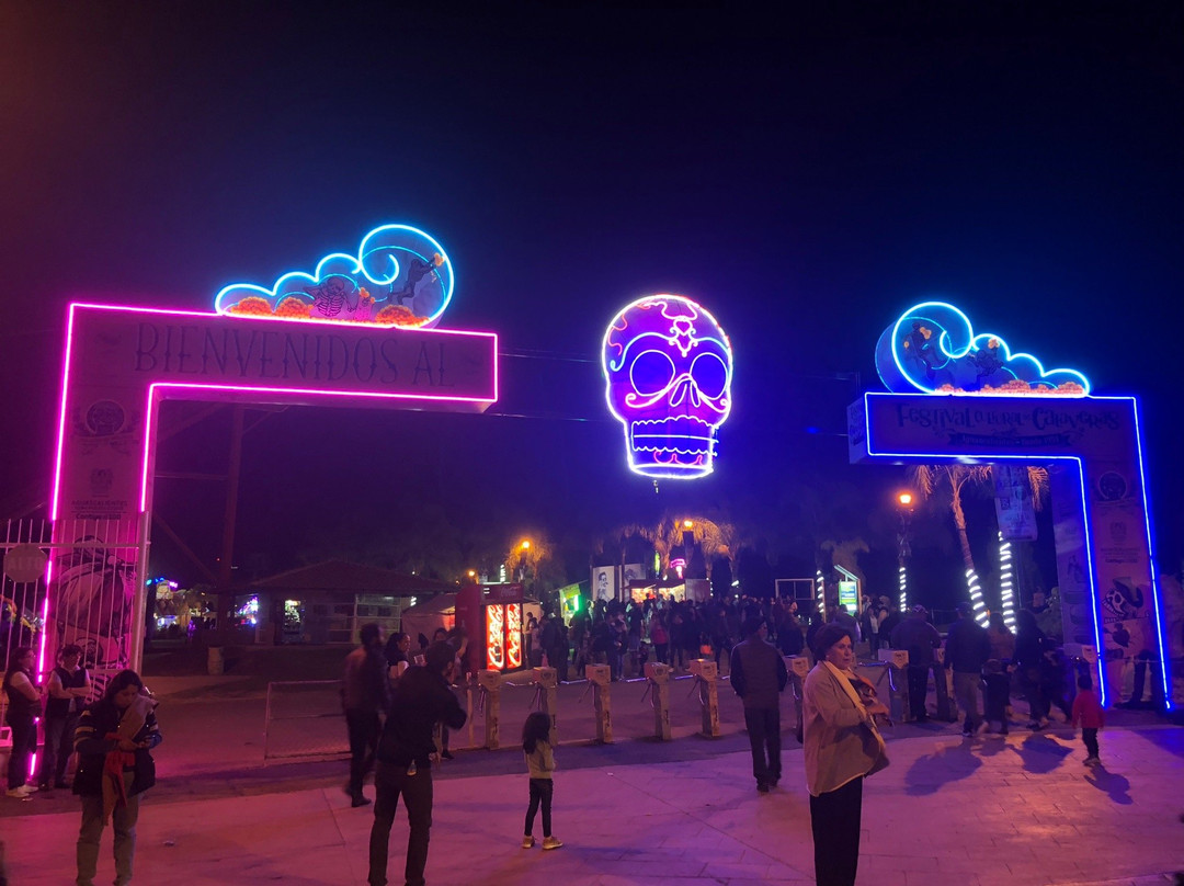 Isla San Marcos-阿瓜斯卡达特斯必去景点