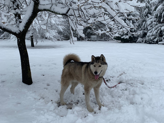 Mckeown's Rest Farmstay At Kenzell Farm主图
