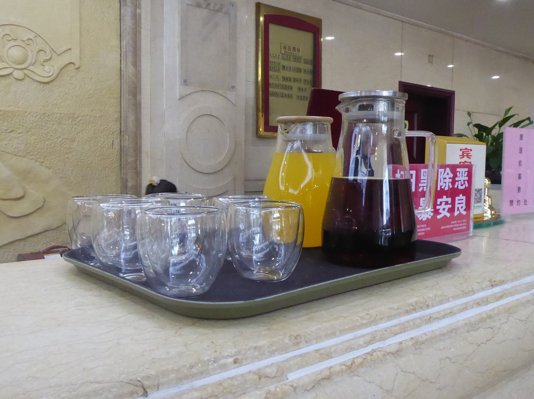 维也纳国际酒店主图