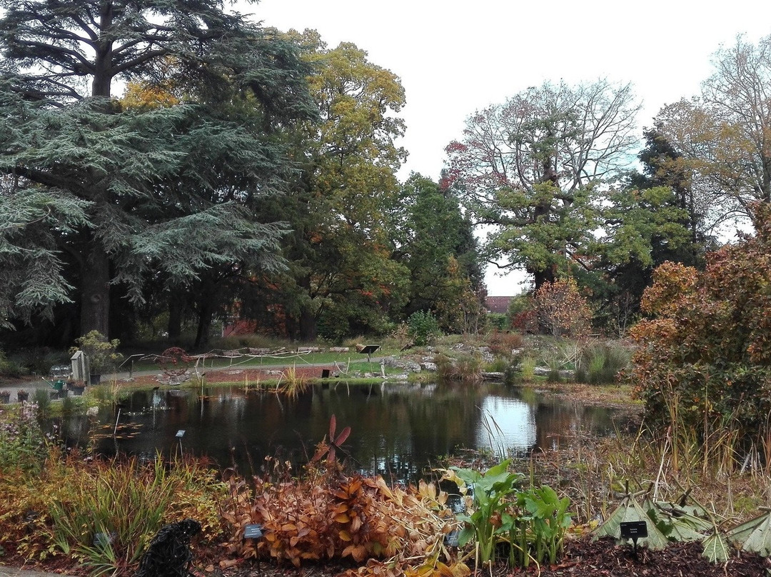 University of Bristol Botanic Garden景点图片