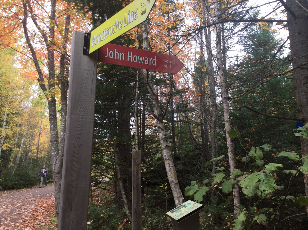 Irishtown Nature Park-蒙古顿必去景点