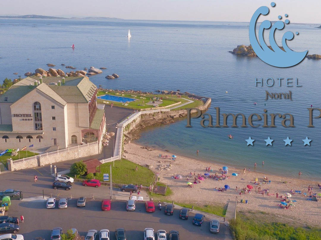 Hotel Norat Palmeira Playa主图
