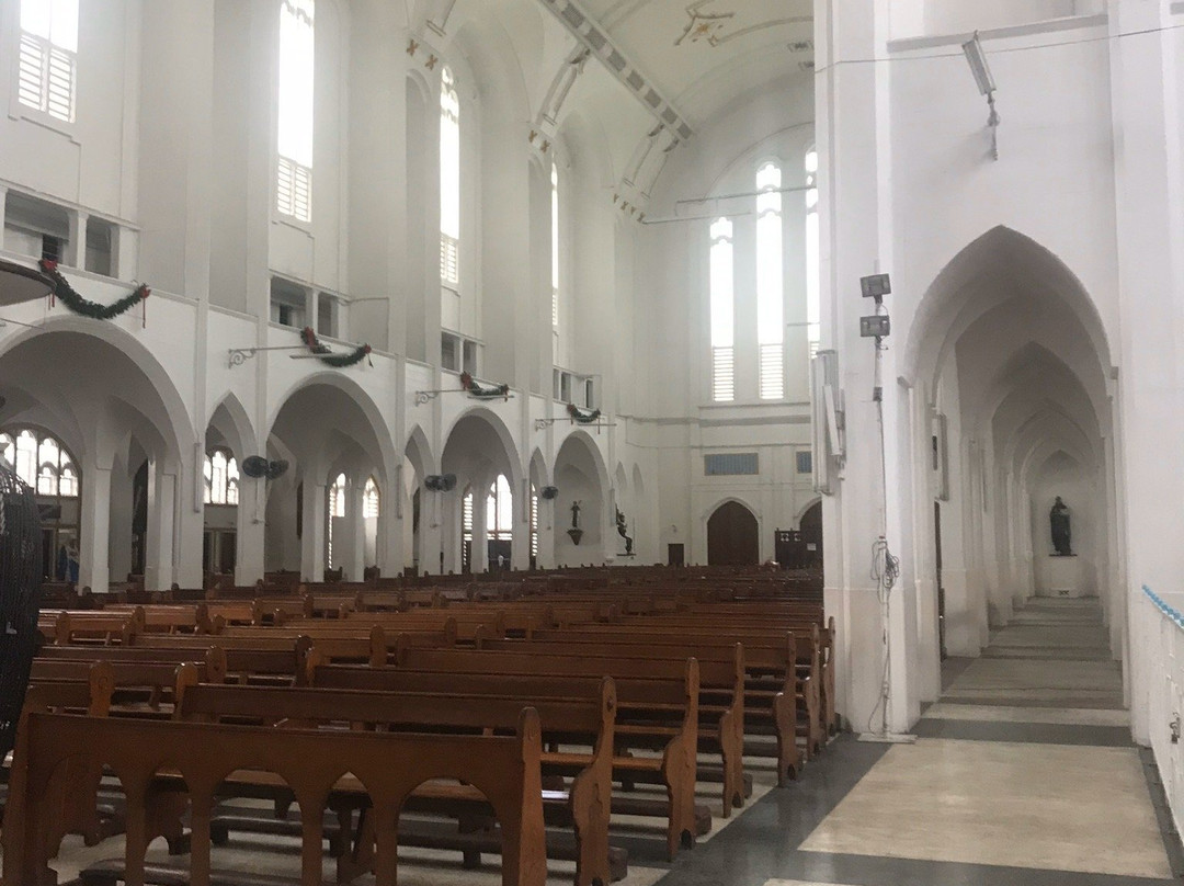 Cathedral of the Immaculate Conception景点图片