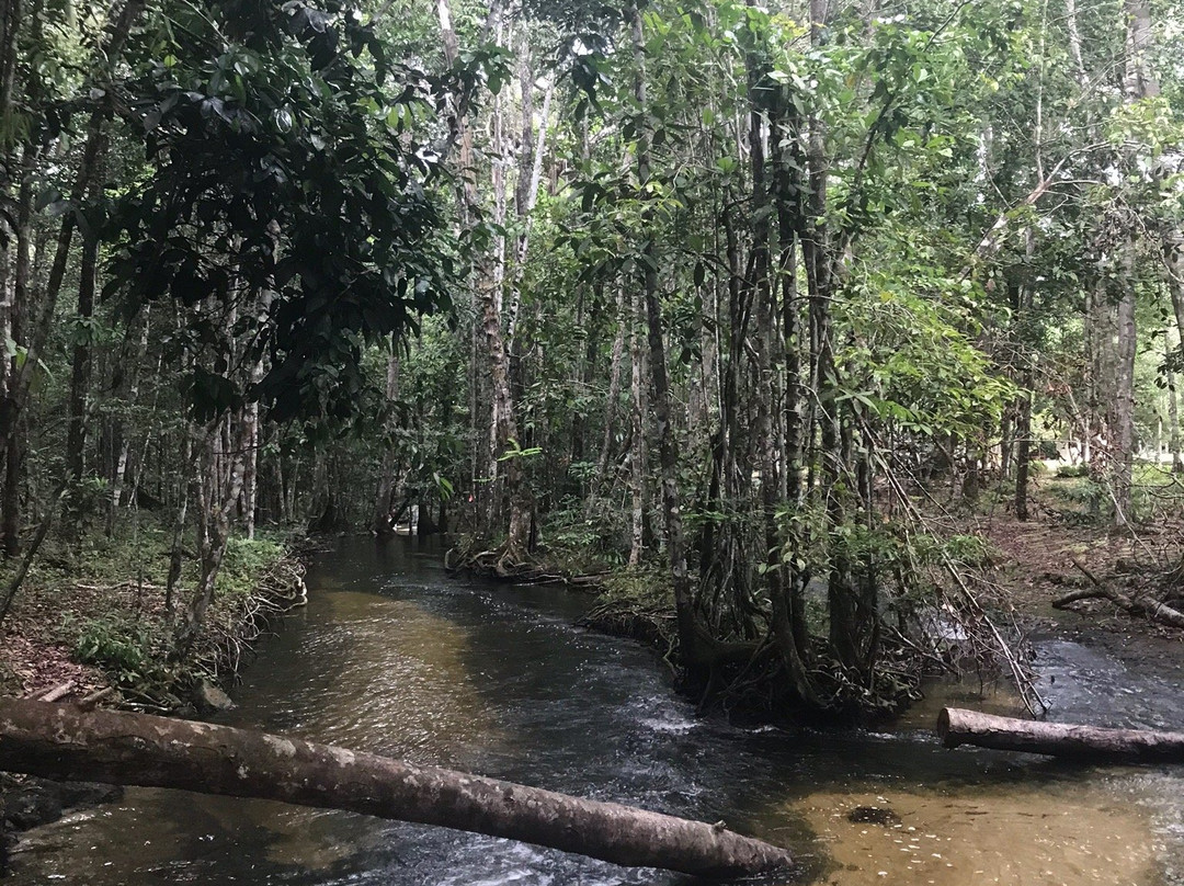 Cachoeira Asframa-Presidente Figueiredo必去景点