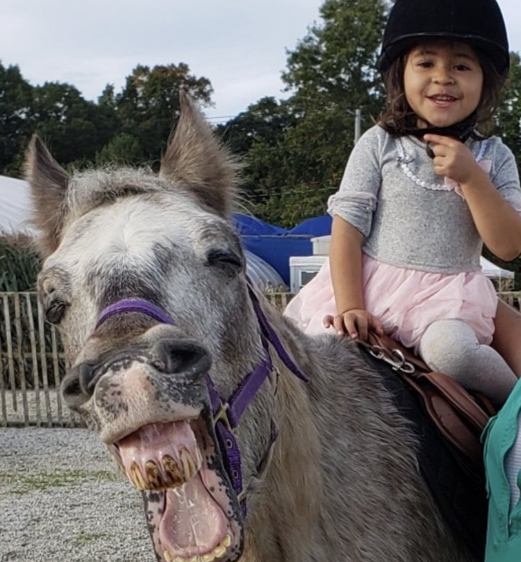 Dba Nativity Riding Academy景点图片