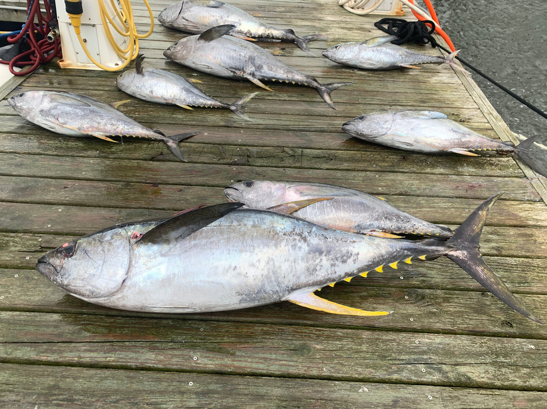 Outer Banks Fishing Charters Private景点图片