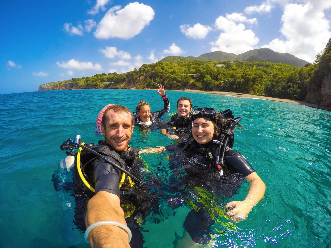 Montserrat Island Dive Centre景点图片