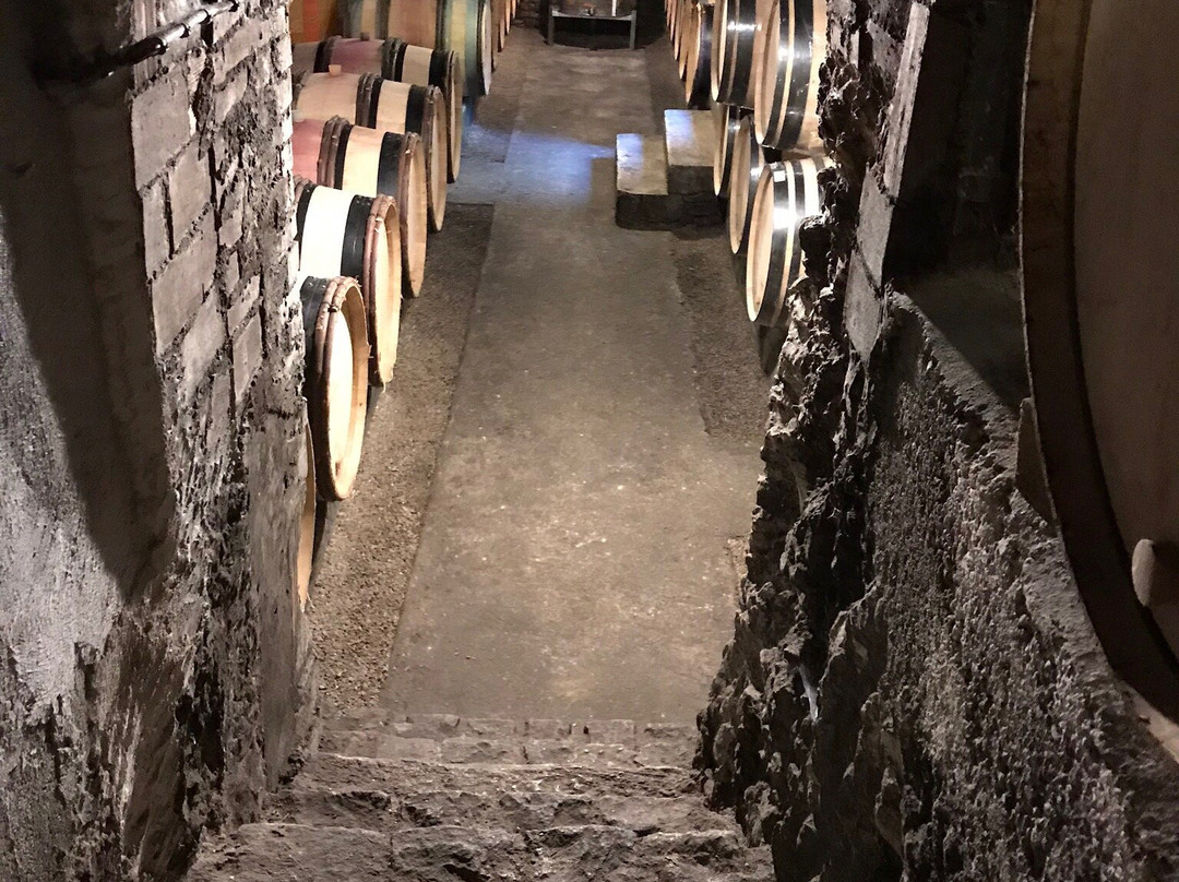 Burgundy Discovery景点图片