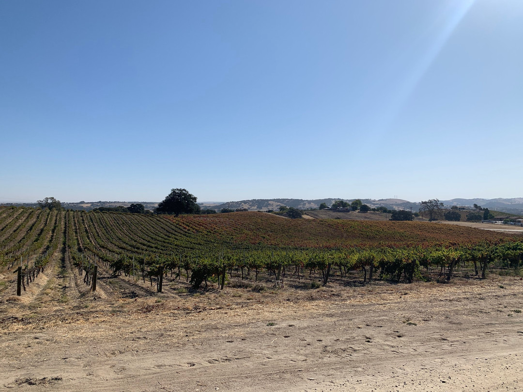 Kindred Oak Farm主图