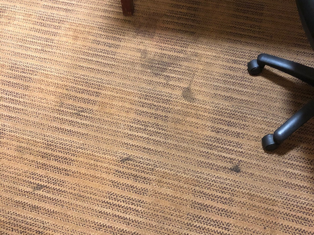 Extended Stay America - Cleveland - Middleburg Heights主图