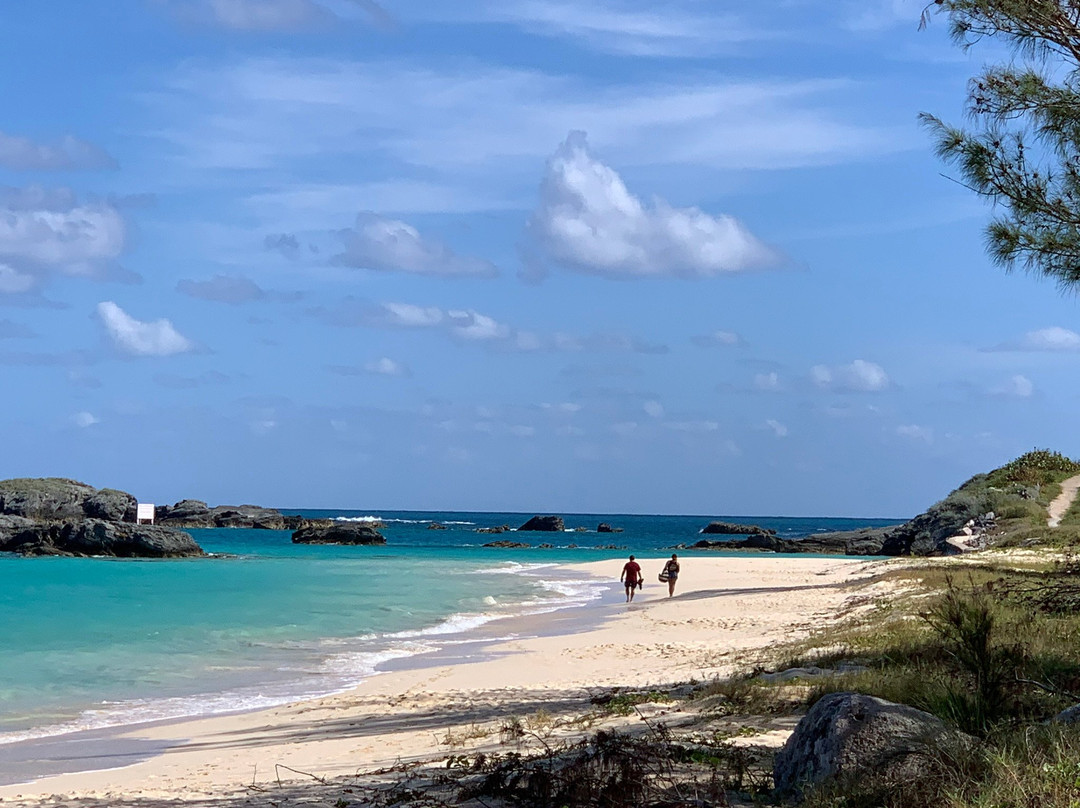 Cooper's Island Nature Reserve-百慕大必去景点