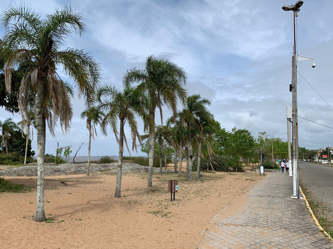 Barrinha Beach景点图片