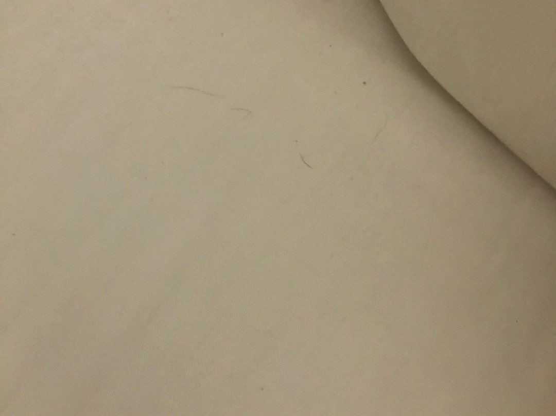 La Quinta Inn & Suites by Wyndham Cleveland TN主图