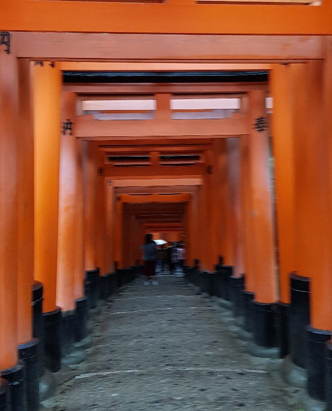 Fushimi Inari Shrine-Yaesu必去景点