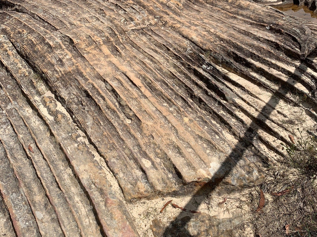 Elysian Rock Lookout景点图片