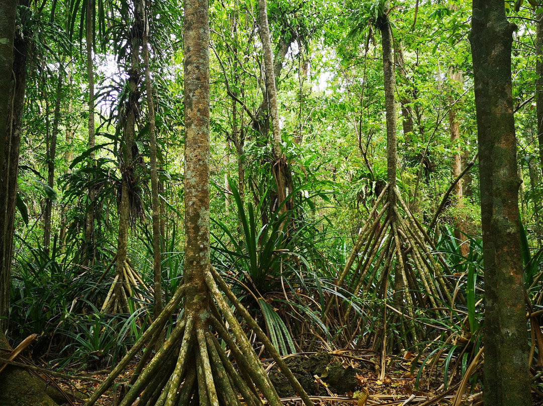 Margaret Knoll Lookout-圣诞岛必去景点
