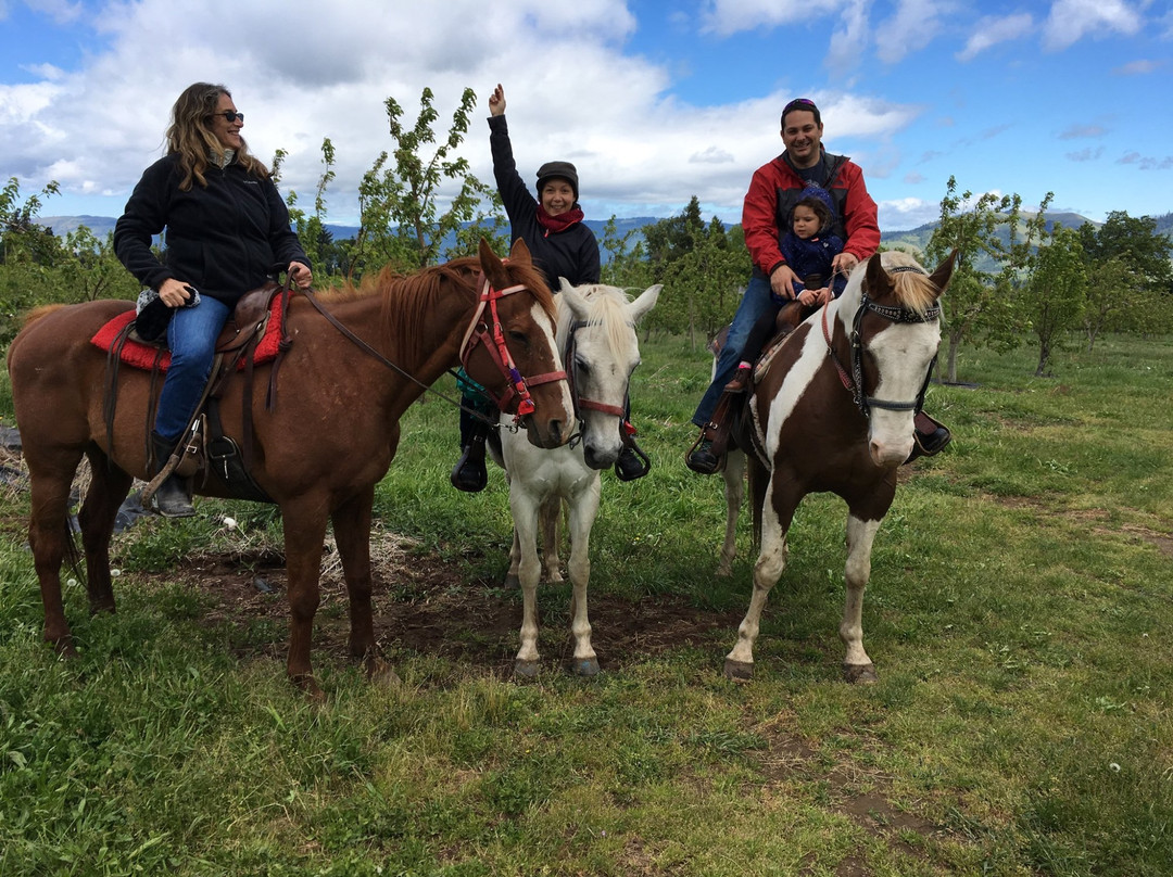 Double Mountain Ranch