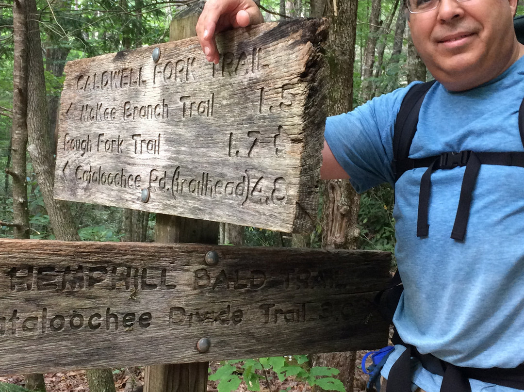 Hemphill Bald Trail-大雾山国家公园必去景点