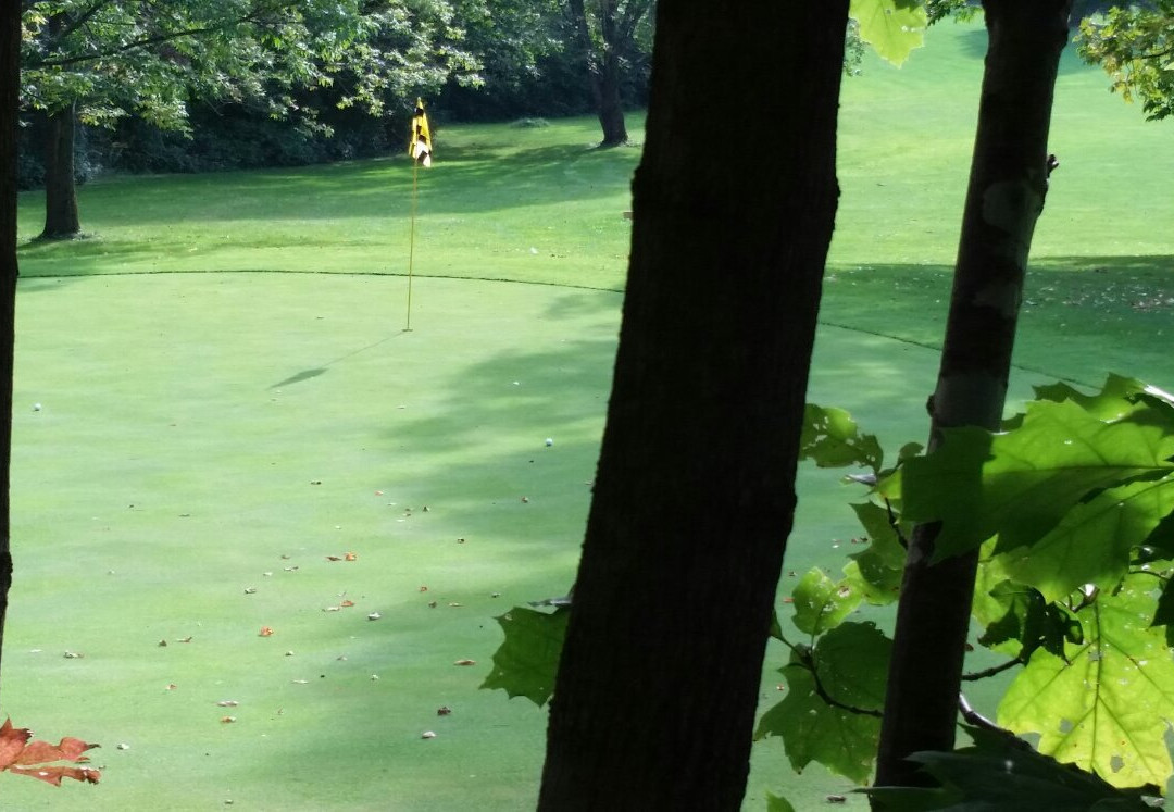 Meadow Links Golf Course景点图片