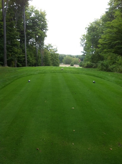 Mistwood Golf Course景点图片