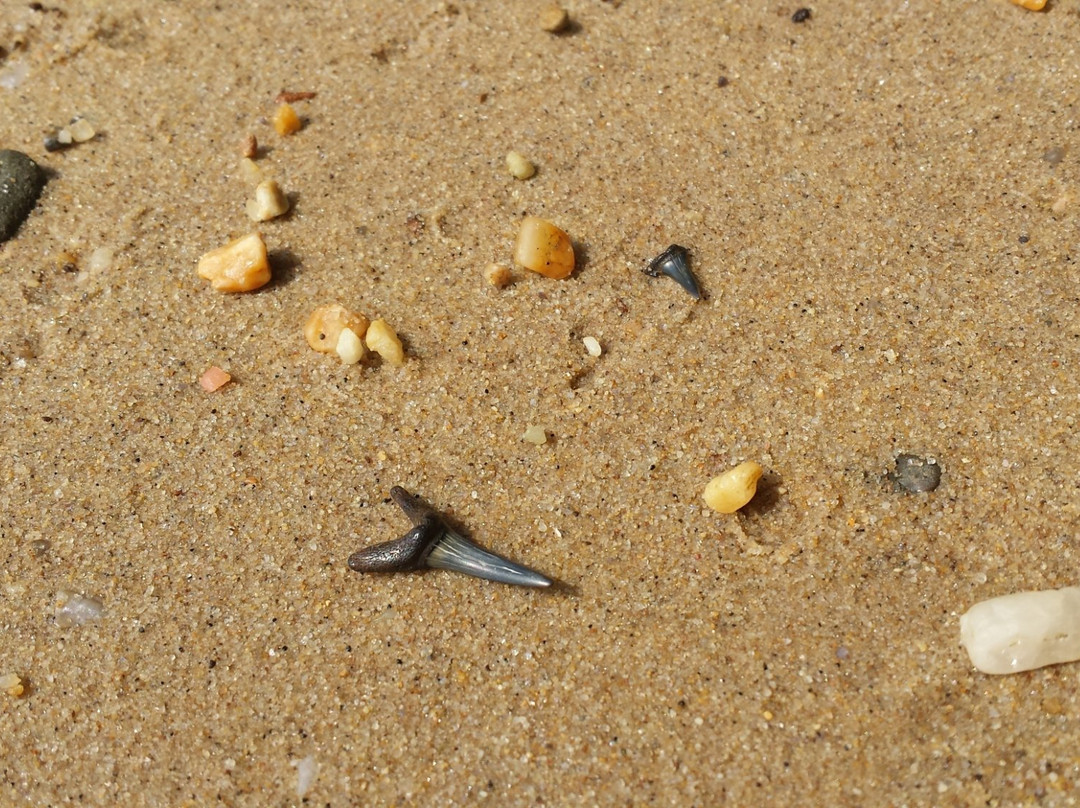 Ironsides旅游景点-Purse State Park