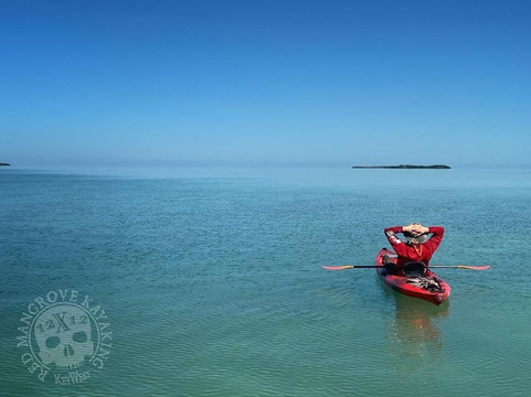 Red Mangrove Kayaking-基韦斯特必去景点