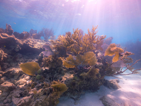 Silent World Dive Center