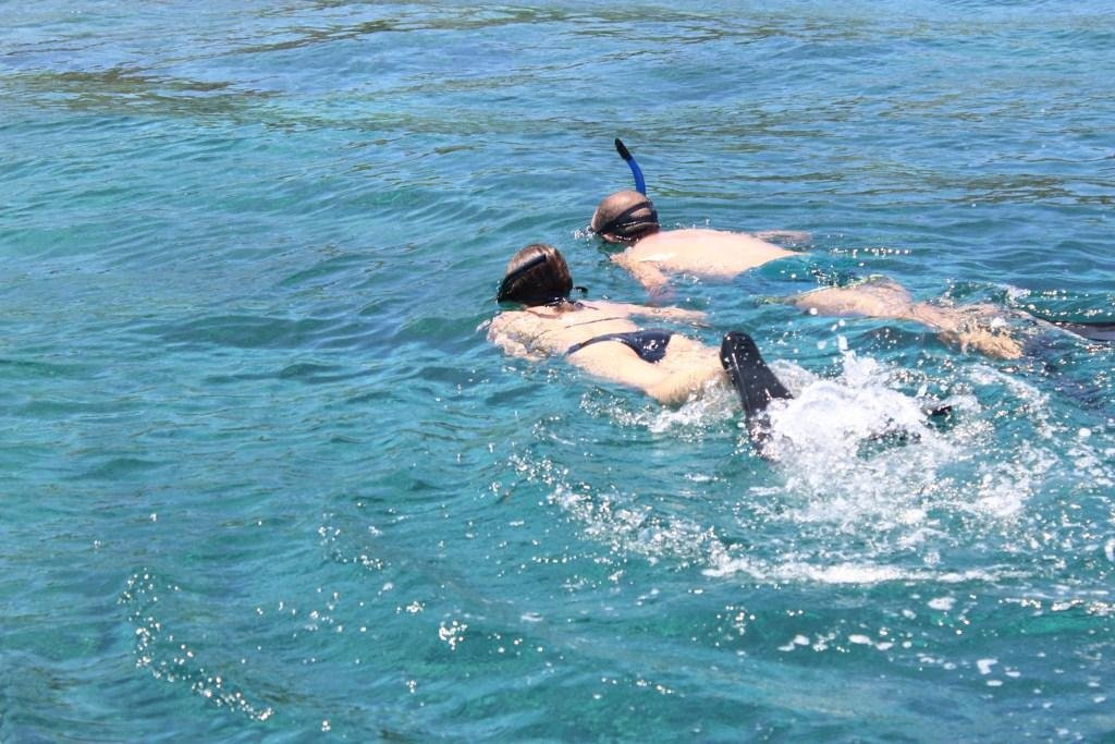 Pemuteran Dotcom Tours & Activities-佩母德兰必去景点