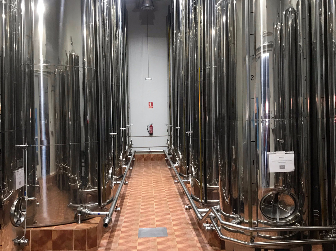 Olive Oil Tour-格拉纳达必去景点