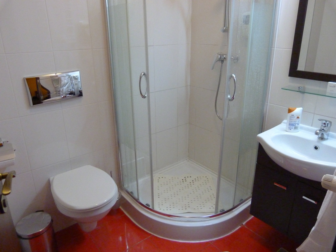 Hotel Coroana Brasovului主图