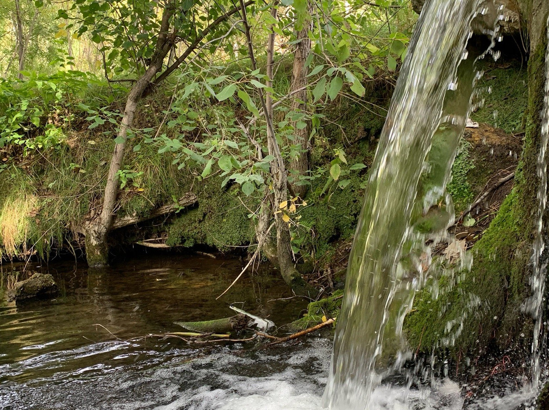 Central Siberian Botanical Garden景点图片
