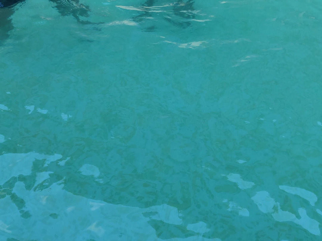 Inn Pondiville Forest Retreat主图