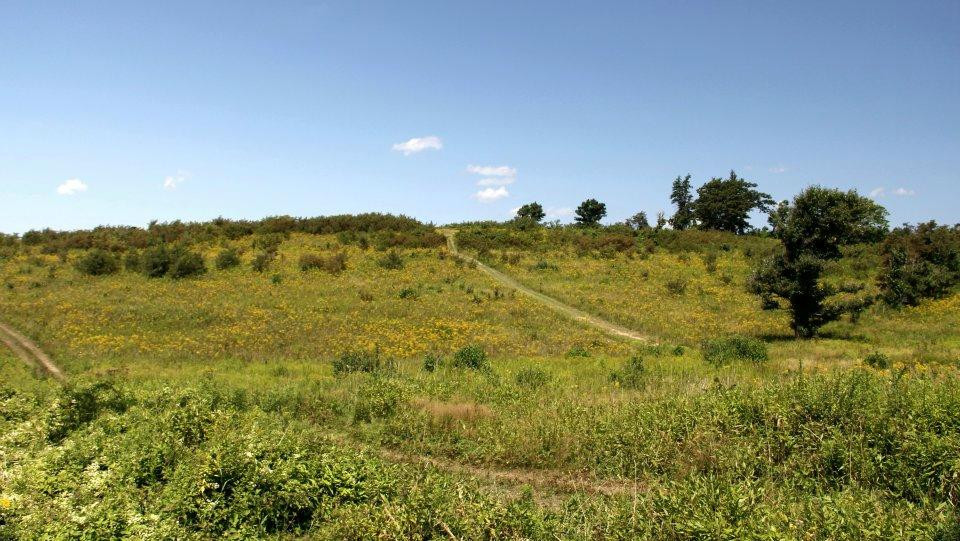 Powdermill Nature Reserve景点图片