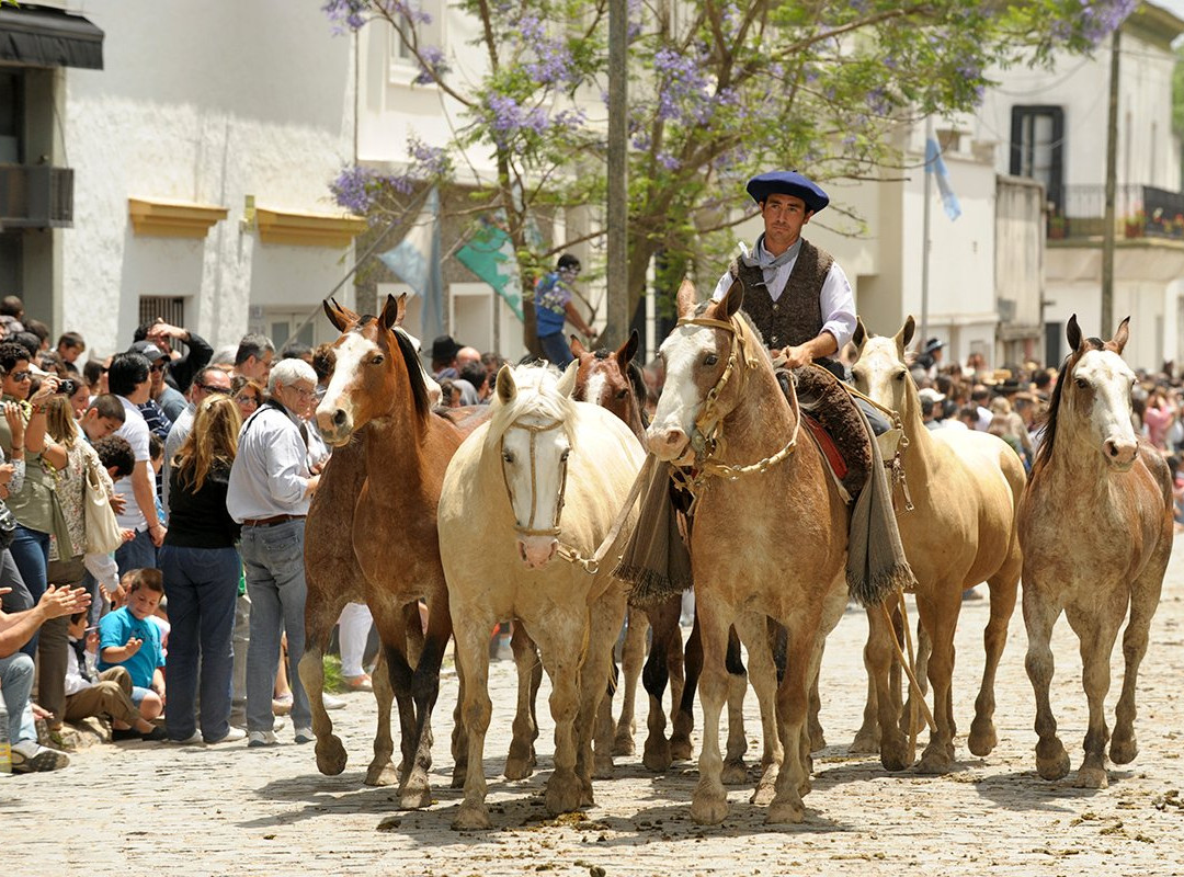 Areco Tradicion景点图片