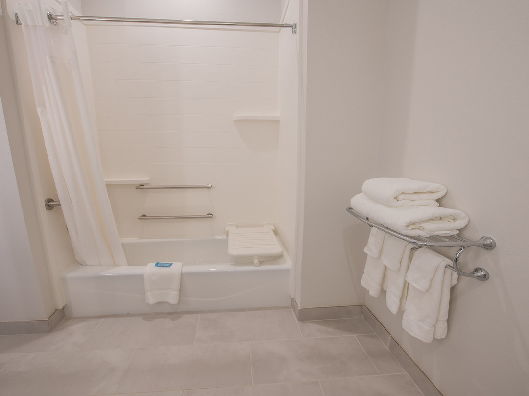 Holiday Inn Express & Suites Dripping Springs - Austin Area By IHG主图