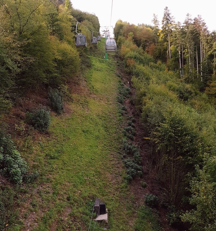 Sommerrodelbahn Saarburg景点图片